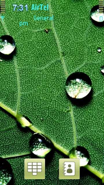 Dew On A Leaf -  1