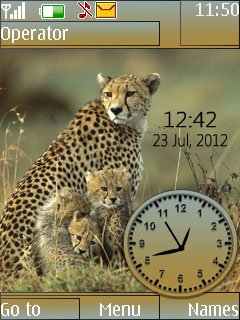 Cheetah Dual Clock -  1