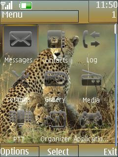 Cheetah Dual Clock -  2