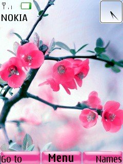 Pink Blossom -  1