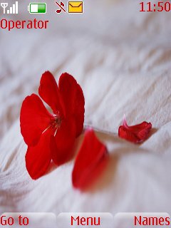 Red Flower -  1