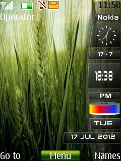 Wheat -  1