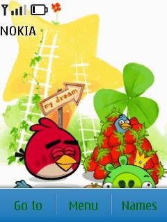 Angry birds -  1