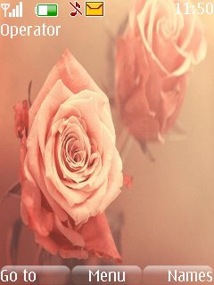 Roses -  1