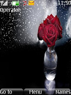 Red rose -  1