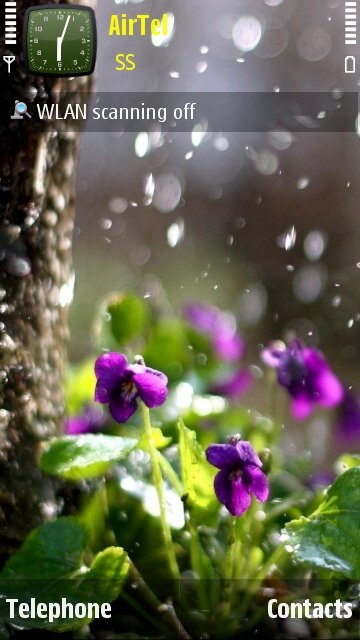 Rain with flowers -  1