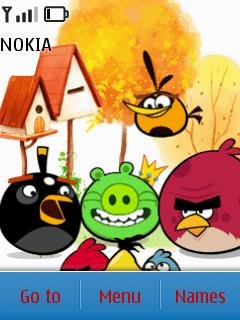 Angry birds -  1