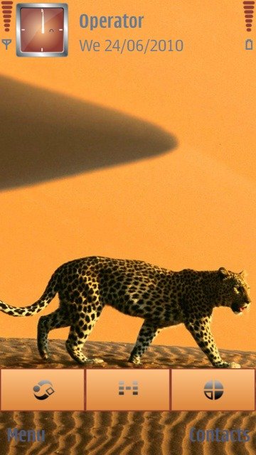 Cheetah -  1