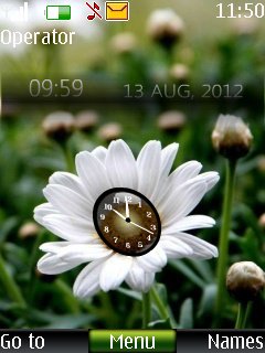 Daisy digital clock -  1