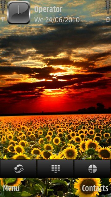 Sunflower field -  1