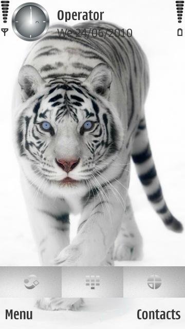 White tiger -  1