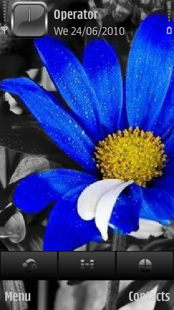 Blue sunflower -  1
