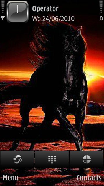 Black horse -  1