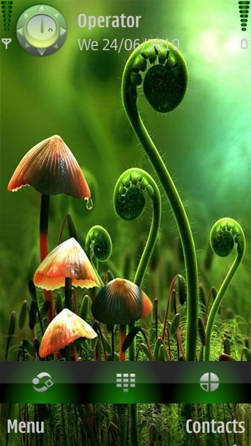 Mushrooms -  1