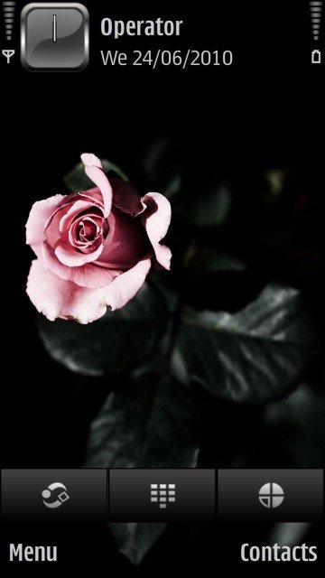 Rose -  1