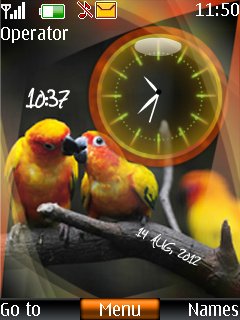 Parrot dual clock -  1