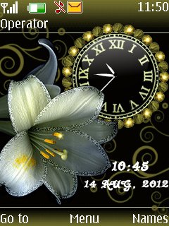 Flowers dual clock -  1