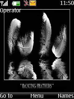 Dancing feathers -  1