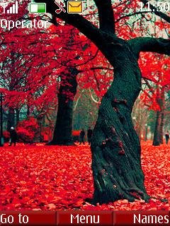 Red leaves -  1