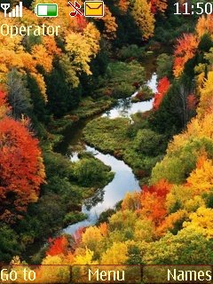 Autumn forest -  1