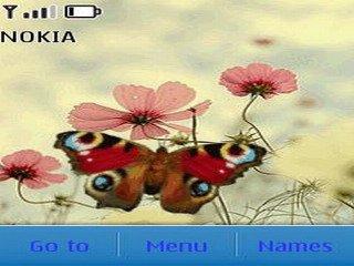 Butterfly -  1