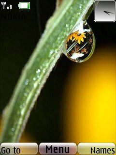 Drops -  1