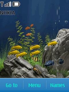 Aquarium -  1