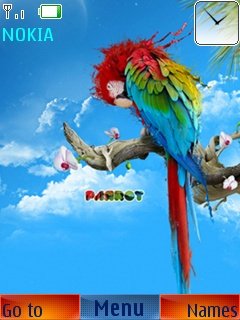 Parrot -  1