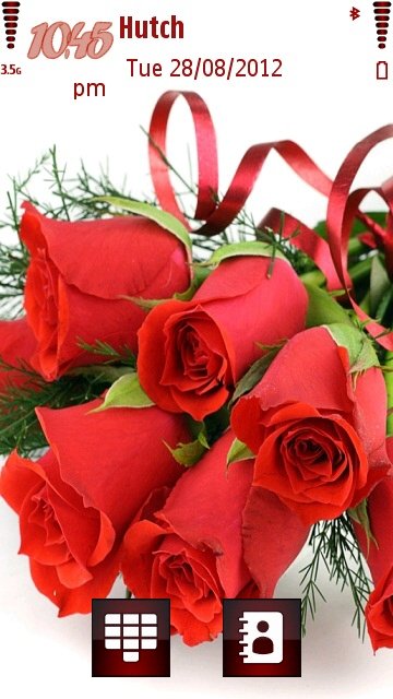 Red roses -  1