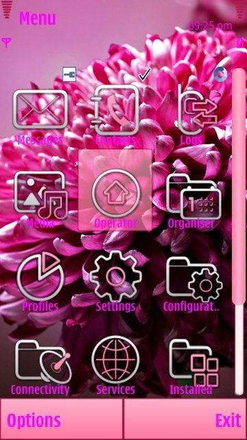 Pink flower hd -  2