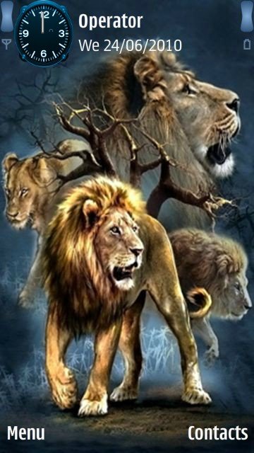 Wild lions -  1
