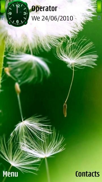 Beautiful dandelion -  1