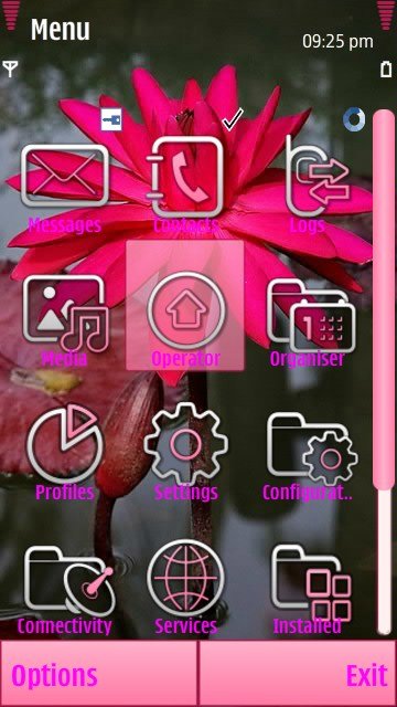 Pink flower -  2