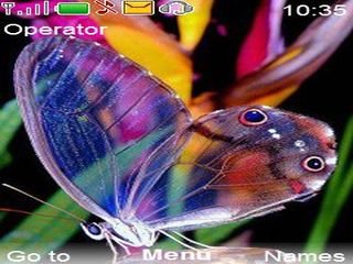 3d butterfly -  1