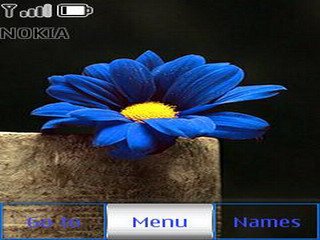 Blue flower -  1