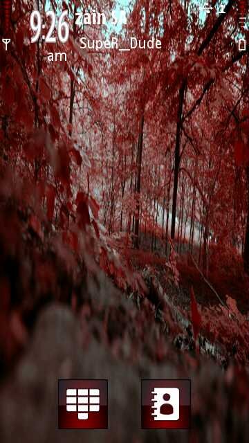 Red autumn -  1