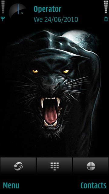 Black panther -  1