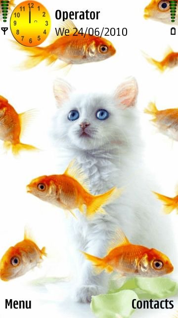 Fish cat -  1