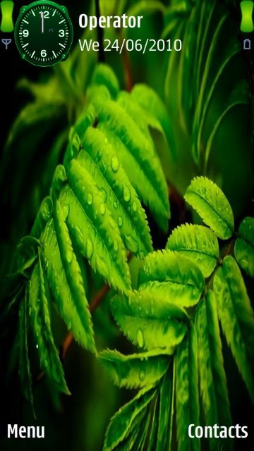 Natural leaves -  1