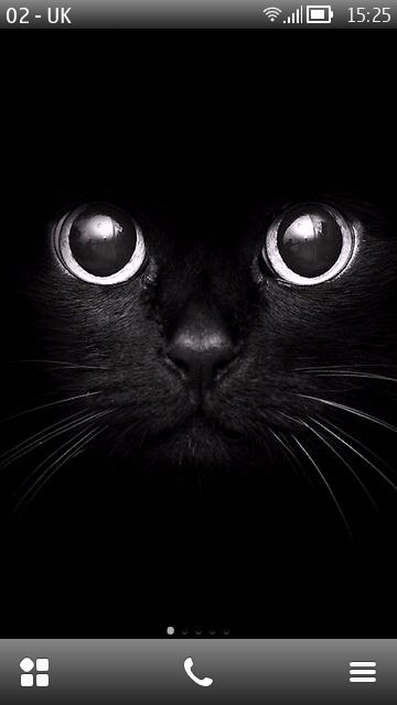 Cats eyes -  1