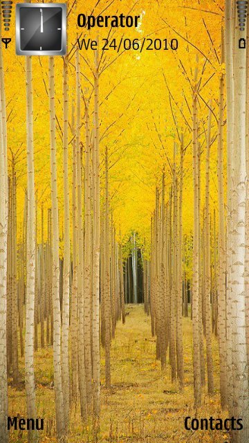 Yellow forest -  1