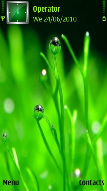 Green grass -  1