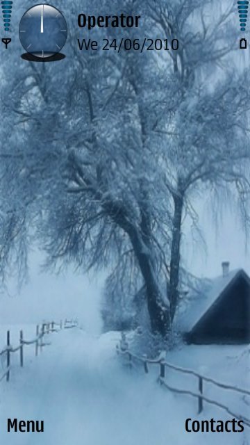 Winter beauty -  1