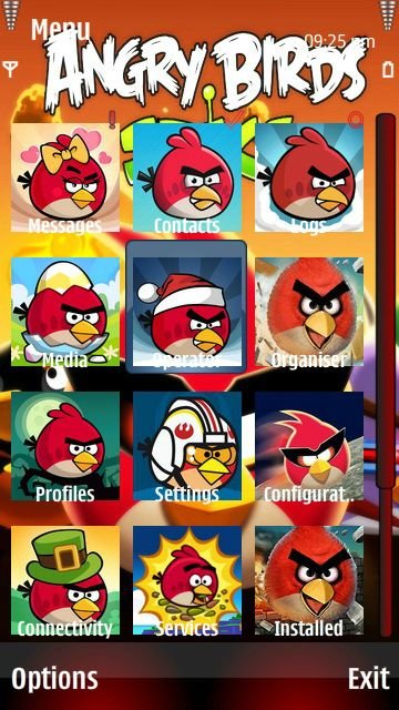 Angry birds -  2