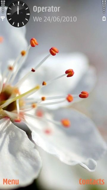 White flower -  1