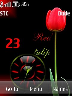 Red tulip clock -  1
