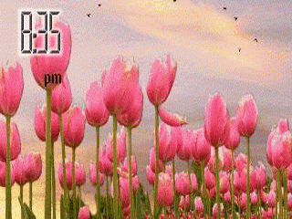 Animated pink flower -  1
