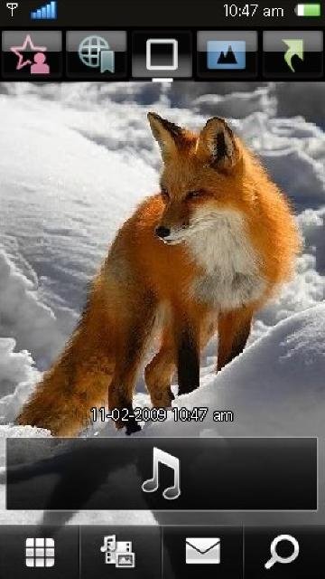 Snow fox -  1