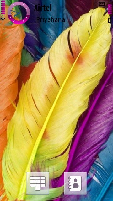 Feathers -  1