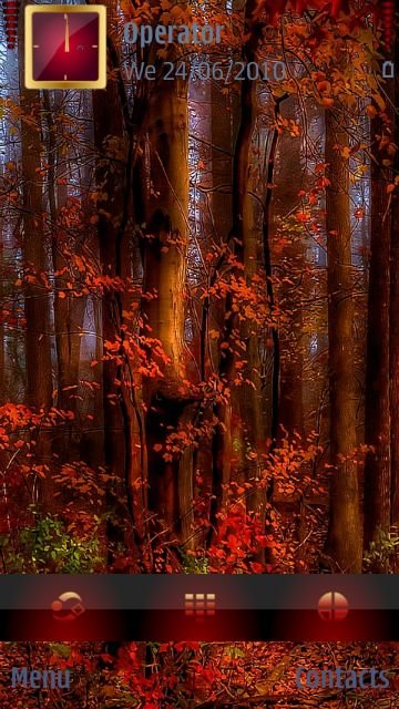 Autumn forest -  1